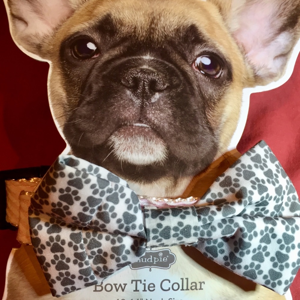 Mud Pie 🎀 BOW TIE 🐶 Dog Collar Size 10-14 Neck
